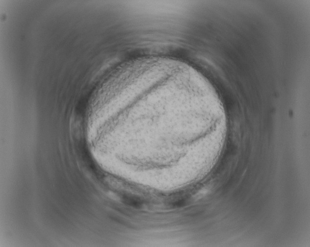 X0000061760123200512231601