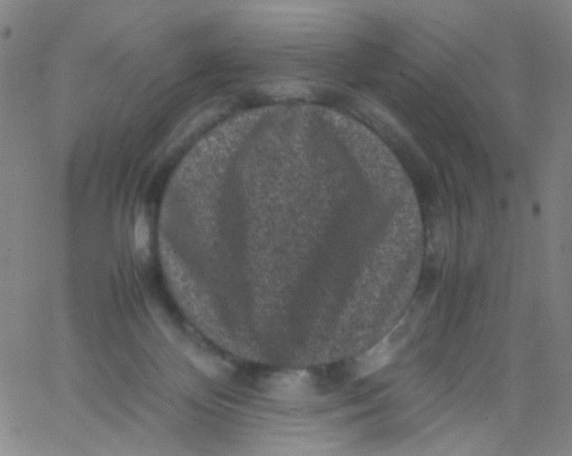 X0000061760124200512231601