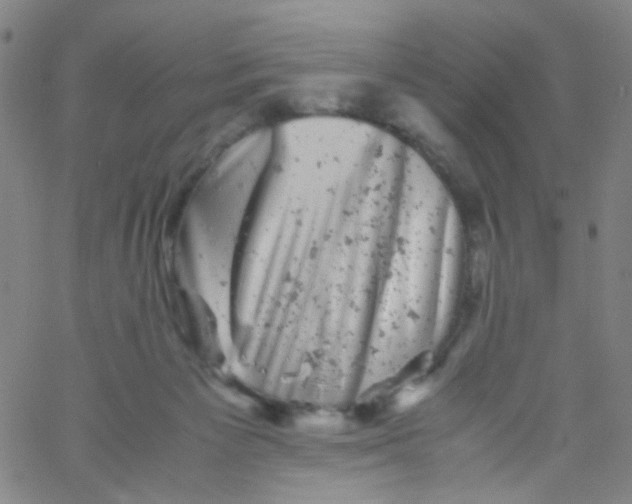 X0000061760125200512231601