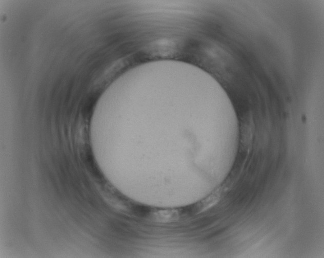 X0000061760126200512231601