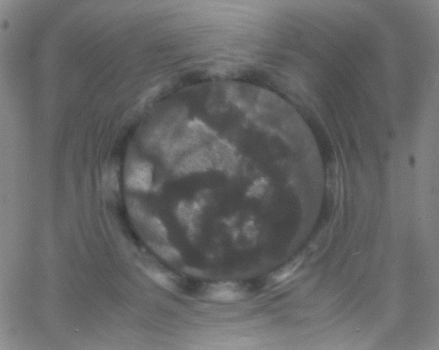 X0000061760127200512231601