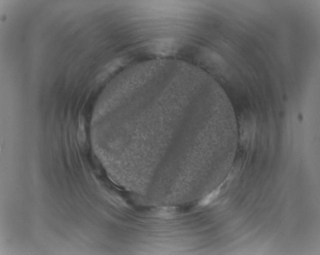 X0000061760128200512231601