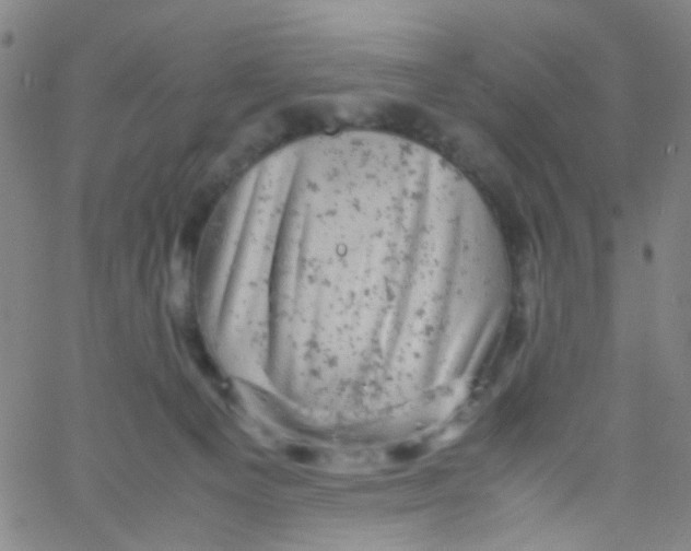 X0000061760129200512231601