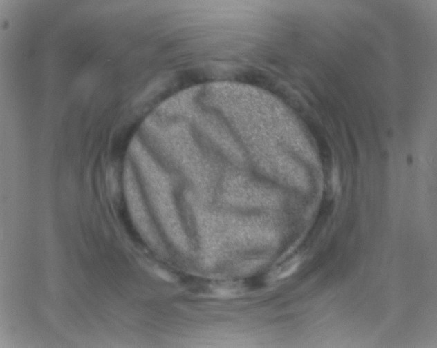 X0000061760131200512231600