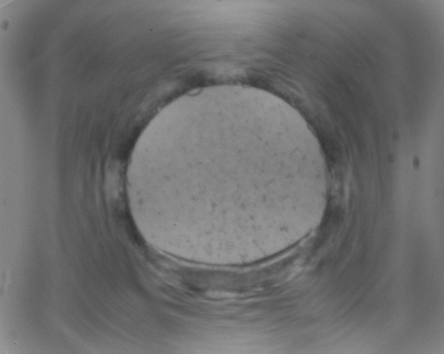 X0000061760133200512231600