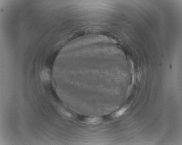 X0000061760135200512231600