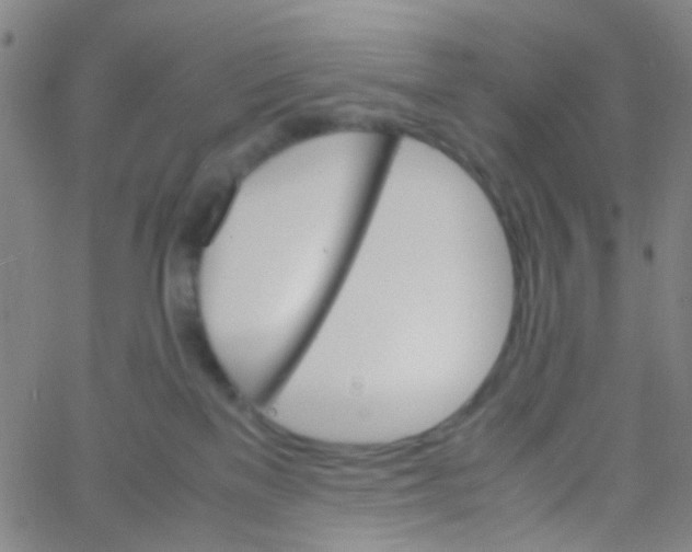 X0000061760137200512231600