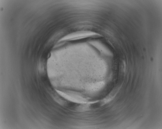 X0000061760138200512231600