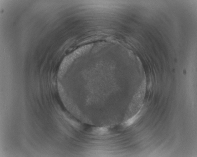 X0000061760140200512231600