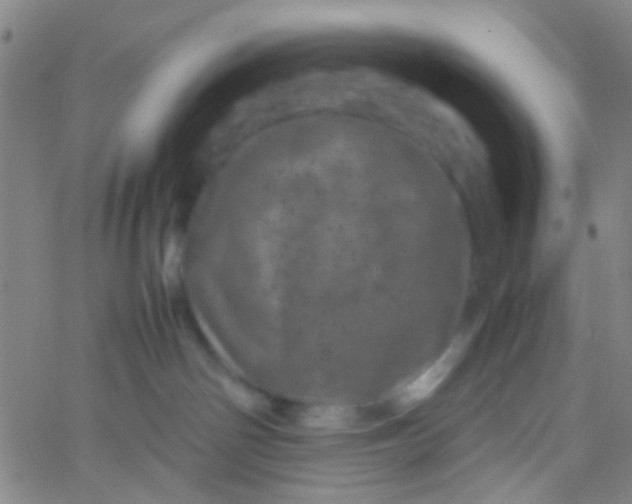 X0000061760142200512231600