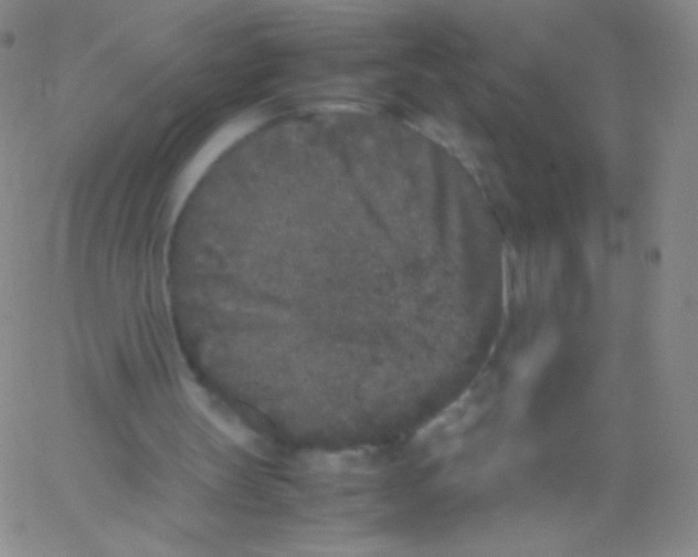 X0000061760147200512231600