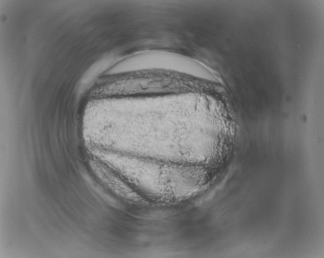 X0000061760149200512231600