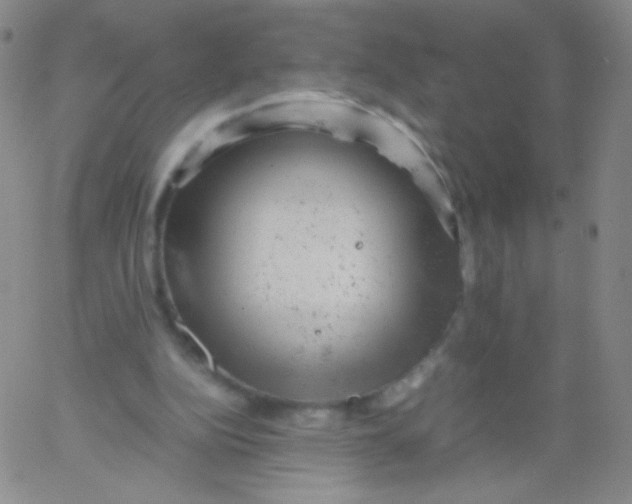 X0000061760152200512231600