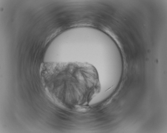 X0000061760153200512231600