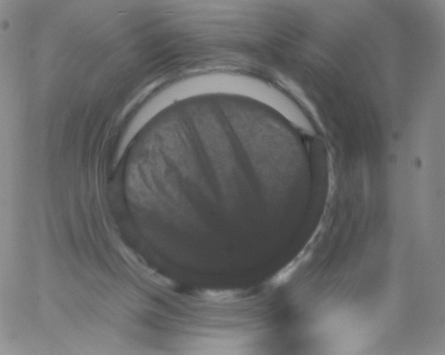 X0000061760154200512231600