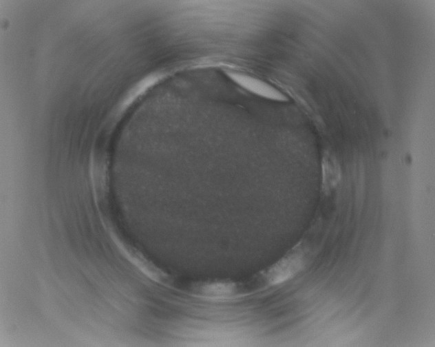 X0000061760156200512231600