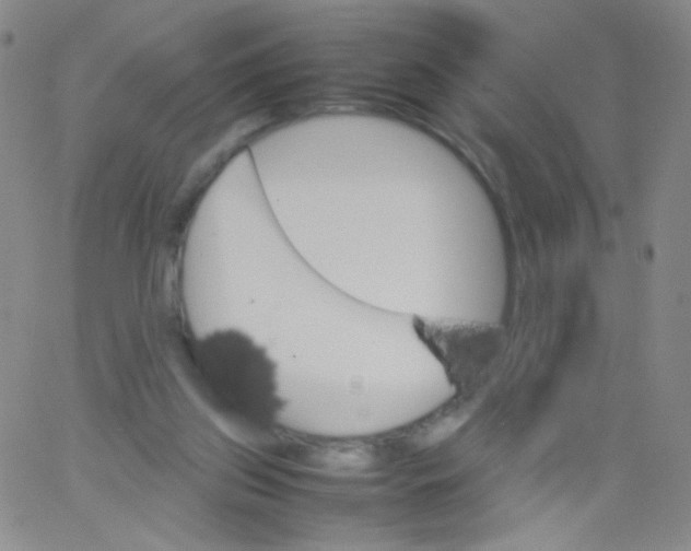 X0000061760157200512231600