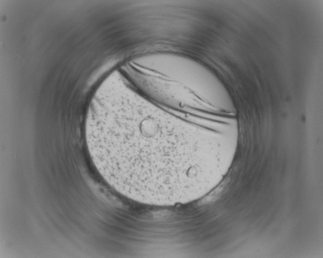 X0000061760158200512231600