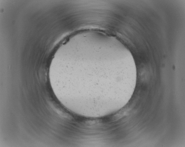 X0000061760160200512231600