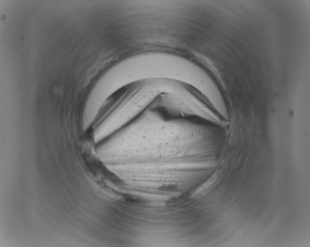 X0000061760162200512231600