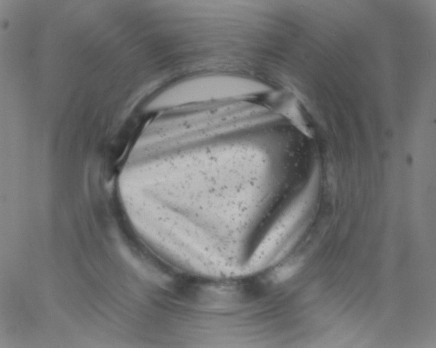 X0000061760164200512231600