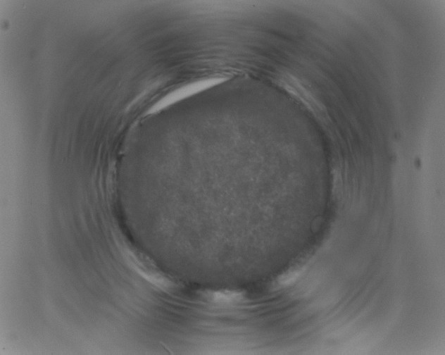 X0000061760165200512231600