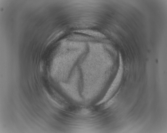 X0000061760166200512231600