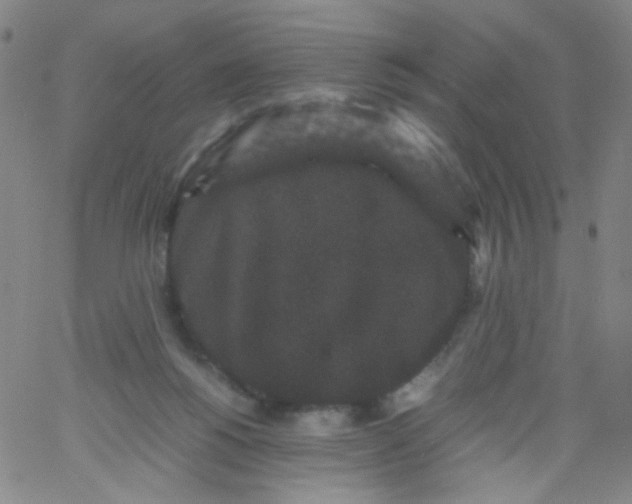 X0000061760168200512231600