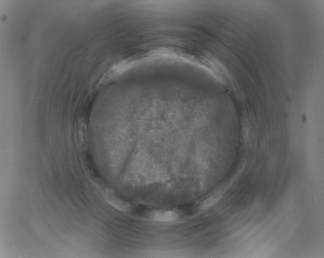 X0000061760169200512231600