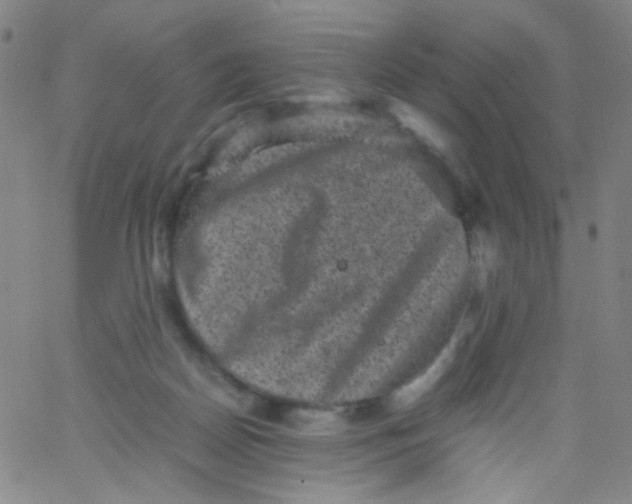 X0000061760170200512231600