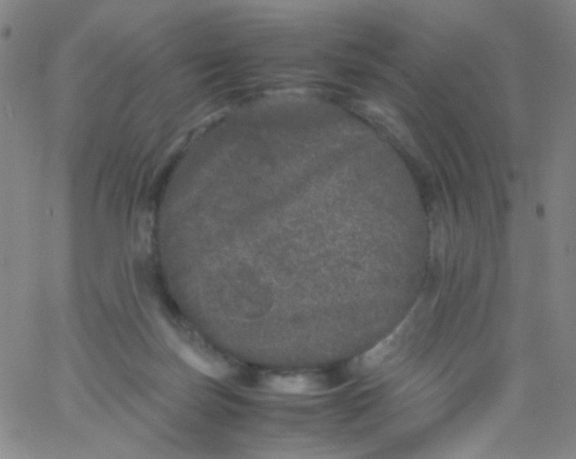 X0000061760171200512231600