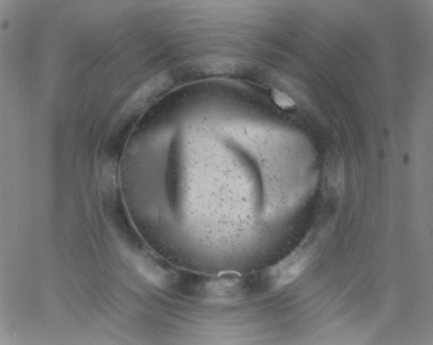 X0000061760172200512231600