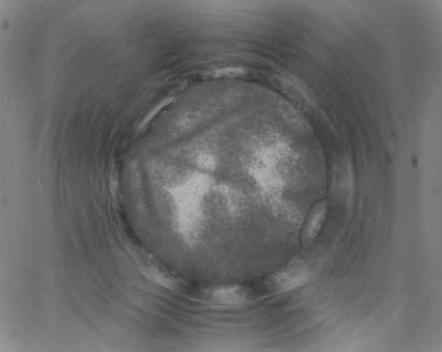 X0000061760173200512231600