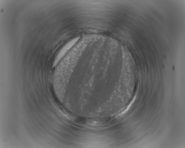 X0000061760174200512231600