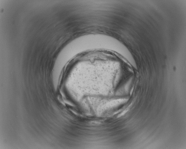 X0000061760176200512231600