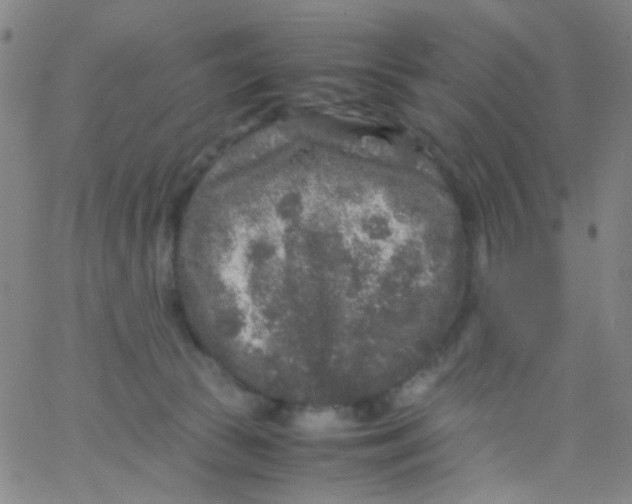 X0000061760177200512231600