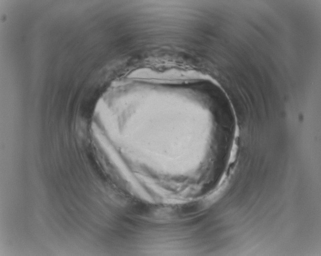 X0000061760178200512231600