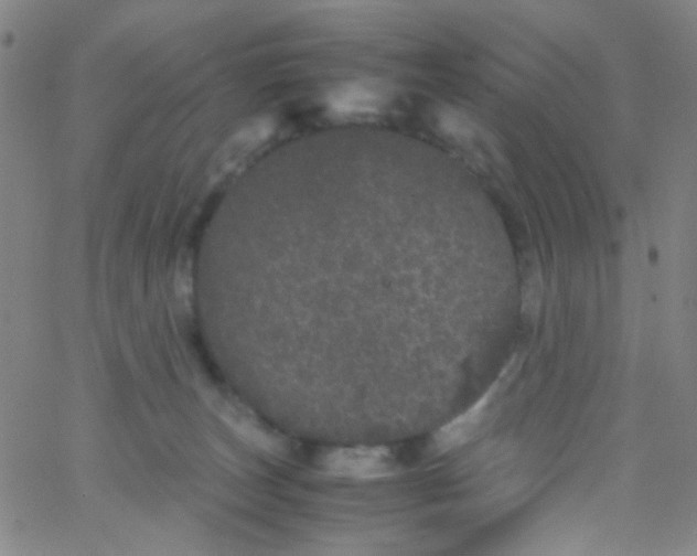 X0000061760179200512231600