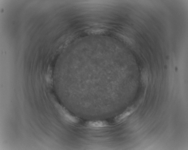 X0000061760181200512231600