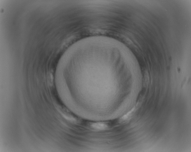 X0000061760183200512231600