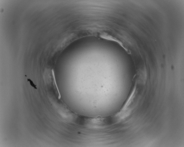 X0000061760184200512231600