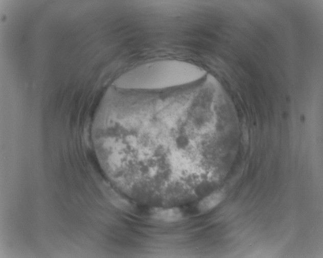 X0000061760185200512231600