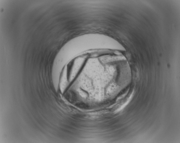 X0000061760186200512231600