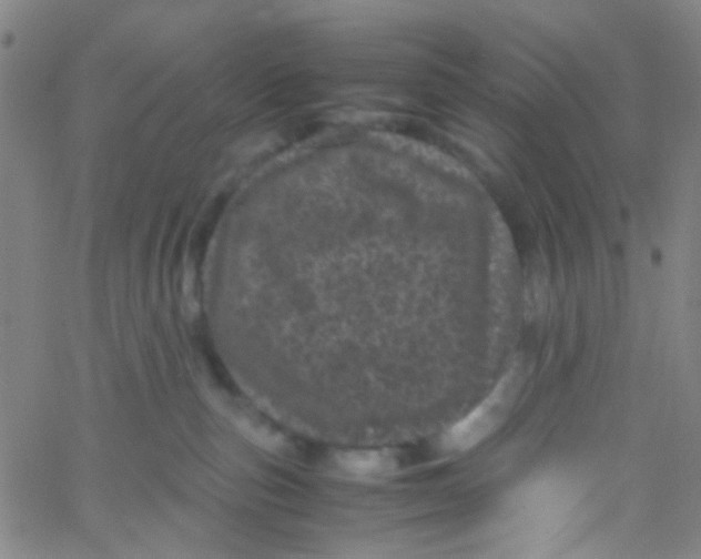 X0000061760187200512231600