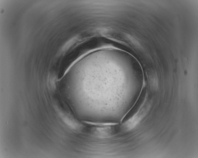 X0000061760188200512231600