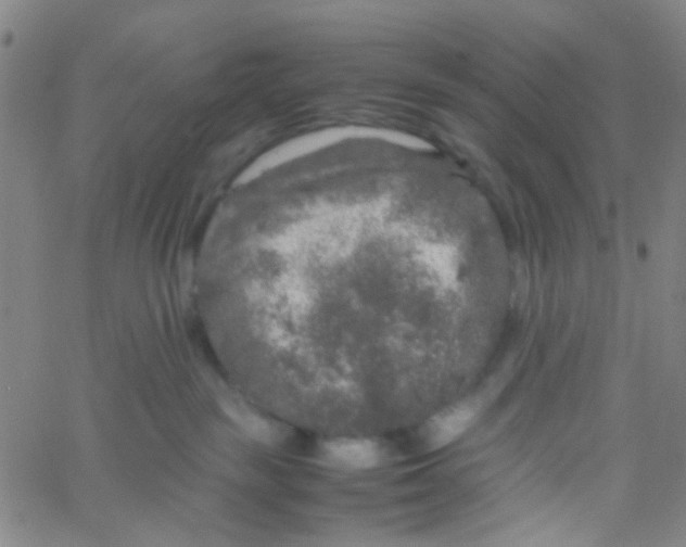 X0000061760189200512231600