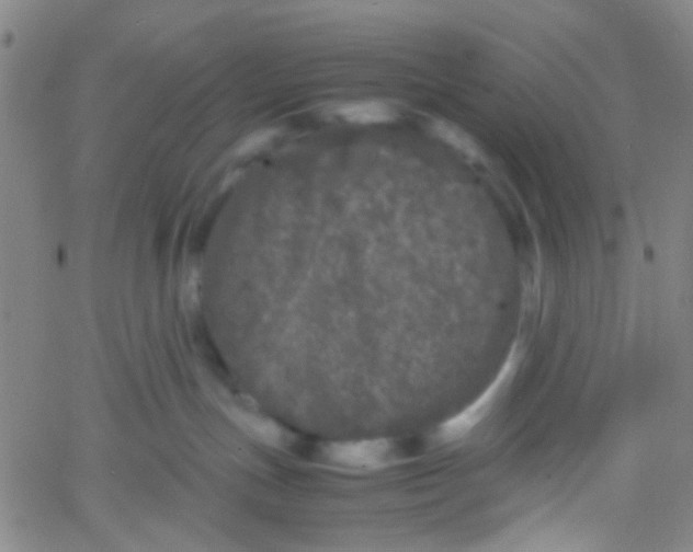 X0000061760191200512231600