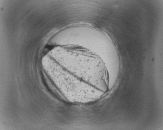 X0000061760193200512231559