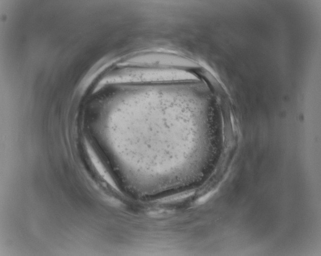 X0000061760199200512231559