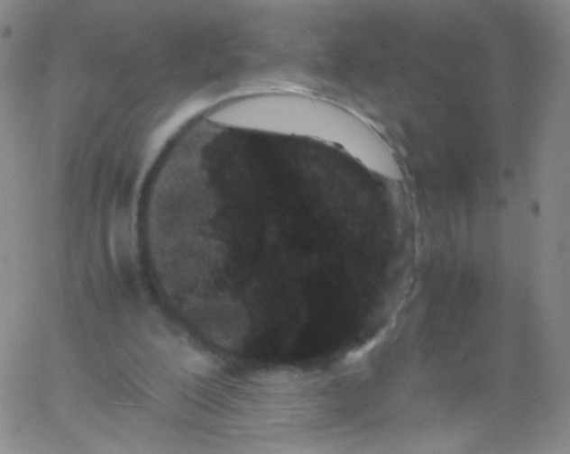 X0000061760200200512231559